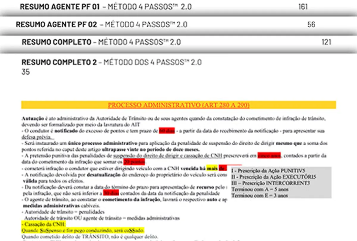 Resumos editáveis para revisão rápida